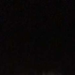 Meet your Posher, Logan